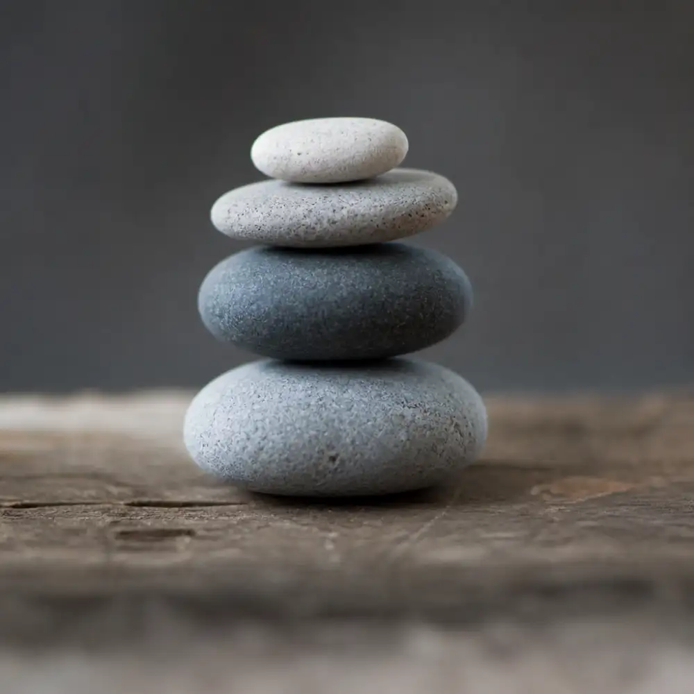 publicistika glosa